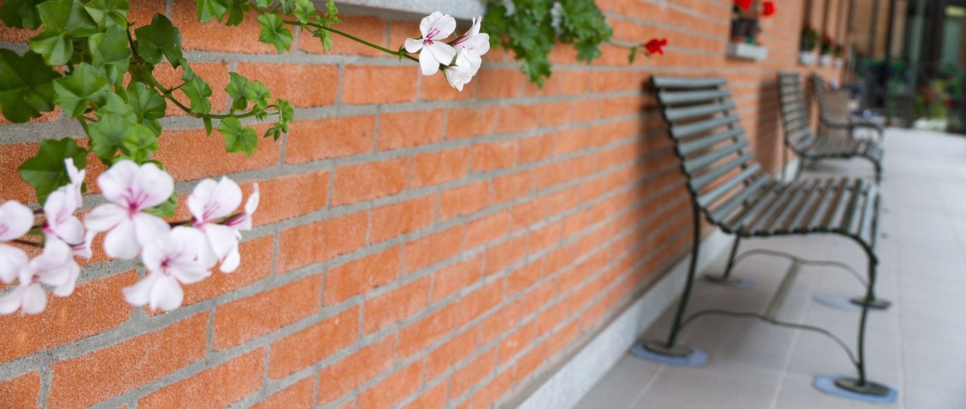 Panchine e fiori nel cortile